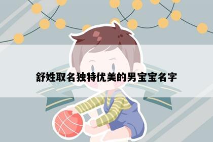 舒姓取名独特优美的男宝宝名字