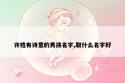 许姓有诗意的男孩名字,取什么名字好